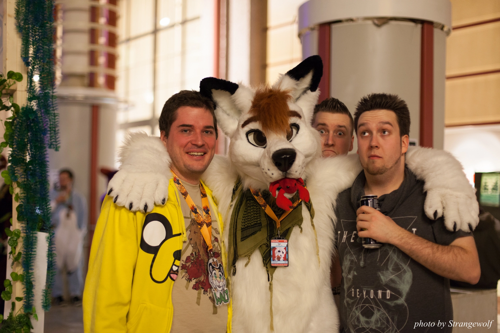 full image IMG_9222-lr19t.jpg