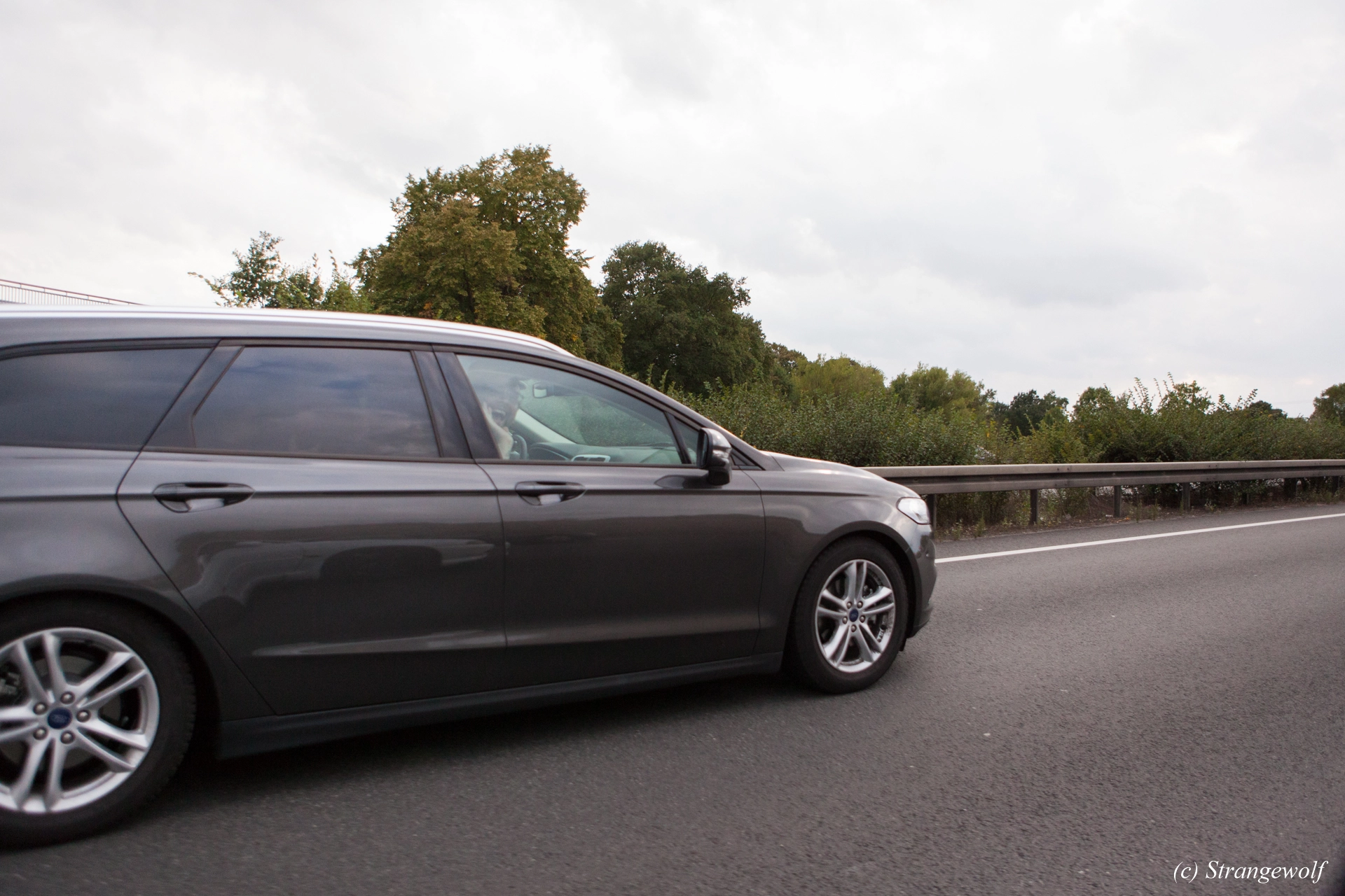 full image IMG_5506-lr19t.jpg