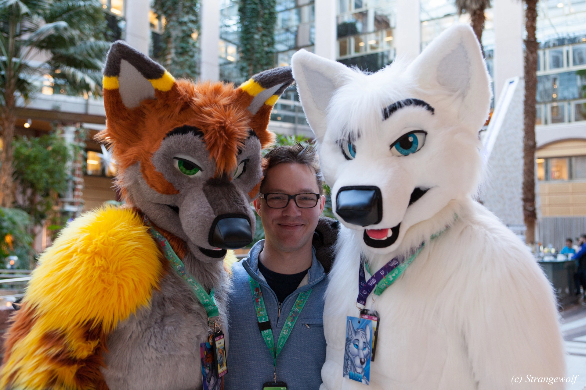 full image IMG_8742-lr19t.jpg