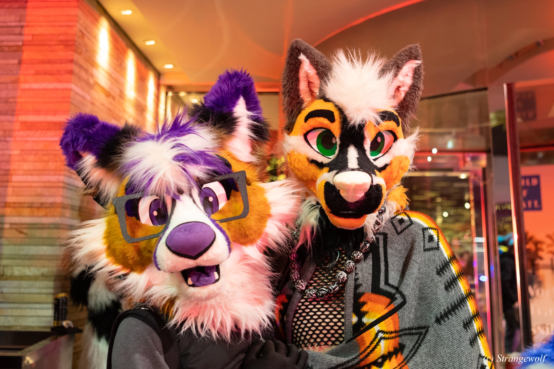 full image 1R3A7266-lr19t.jpg