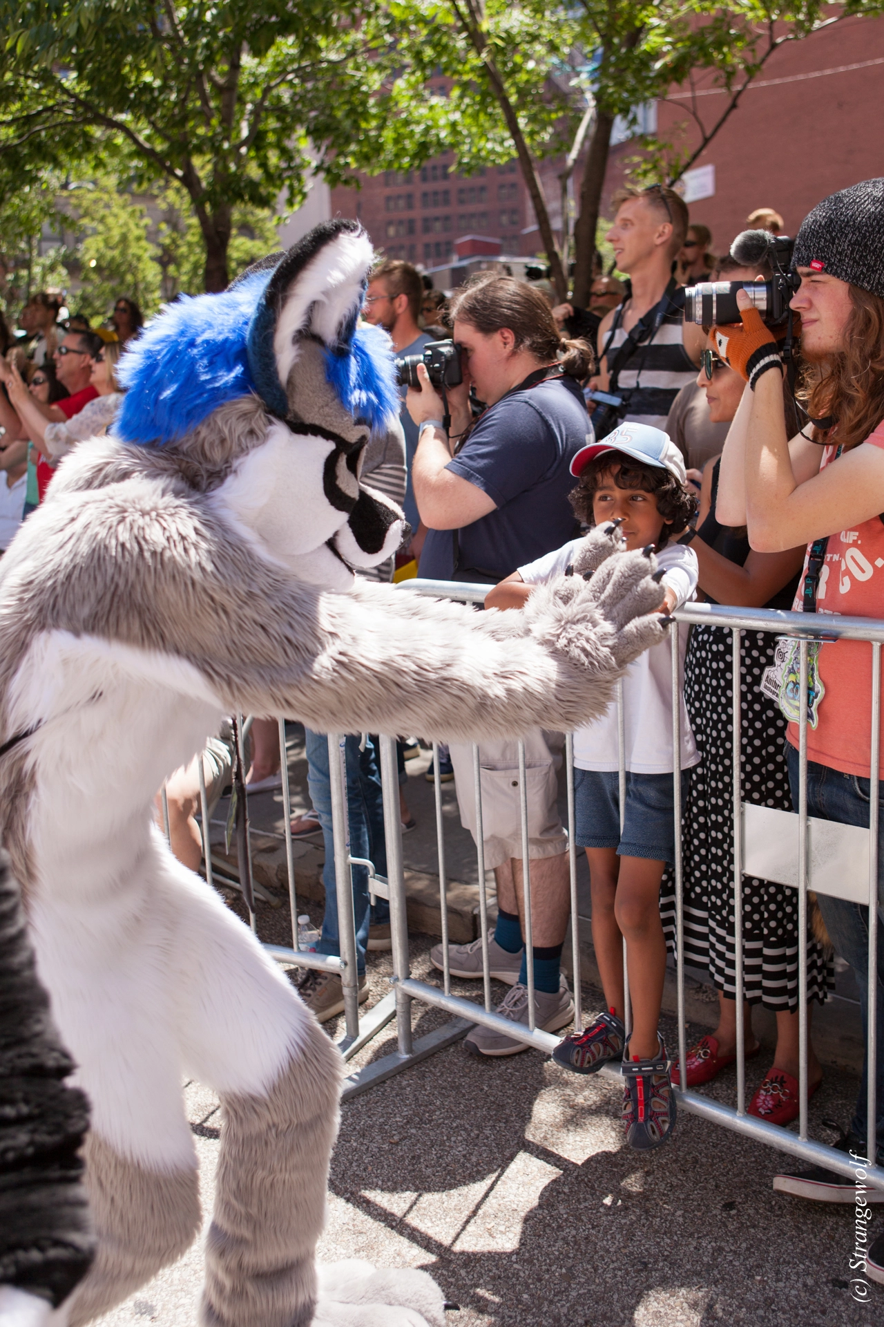 full image IMG_3852-lr19t.jpg
