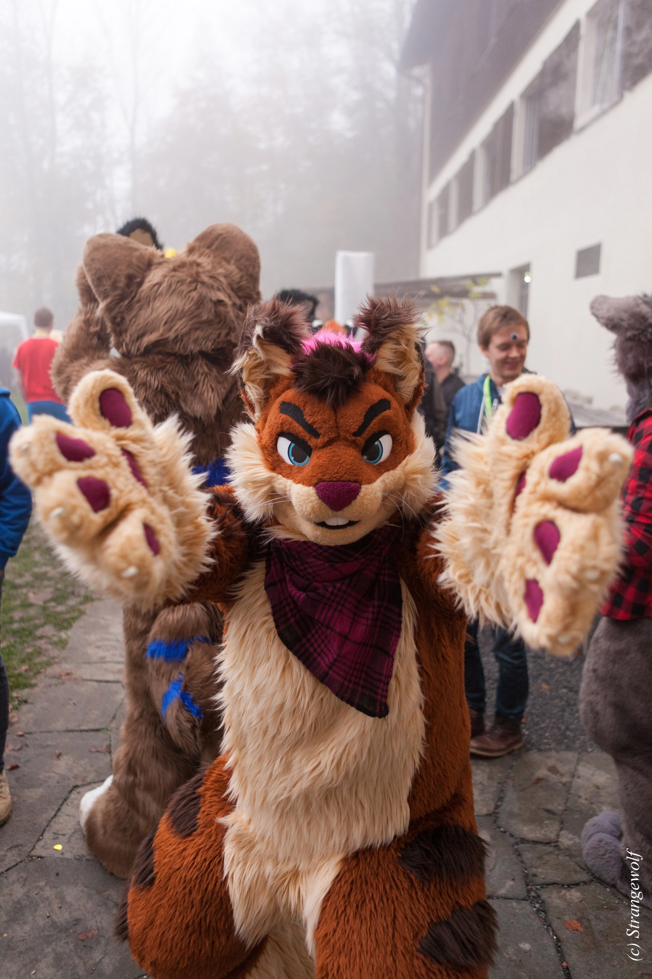 full image IMG_7002-lr19t.jpg