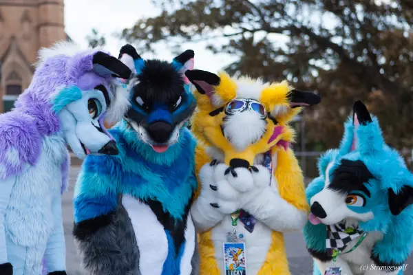 IMG_4660-lr19t.jpg of HCFC/HCFC2019/