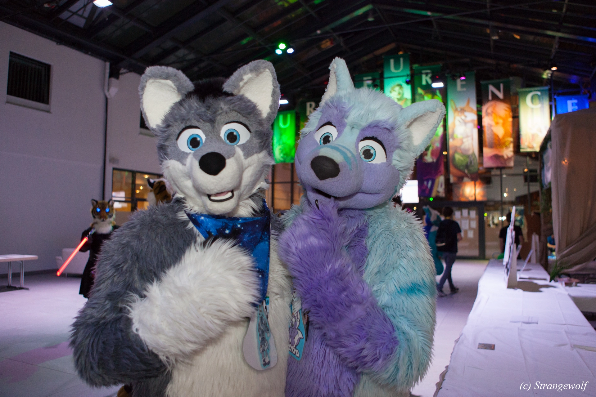 full image IMG_4844-lr19t.jpg