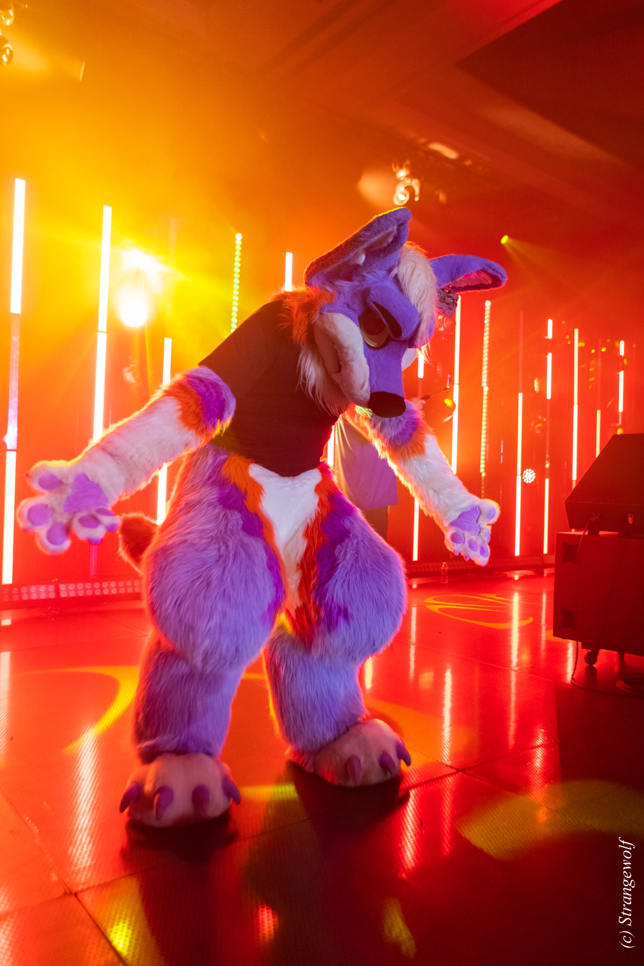 full image 1R3A5244-lr19t.jpg