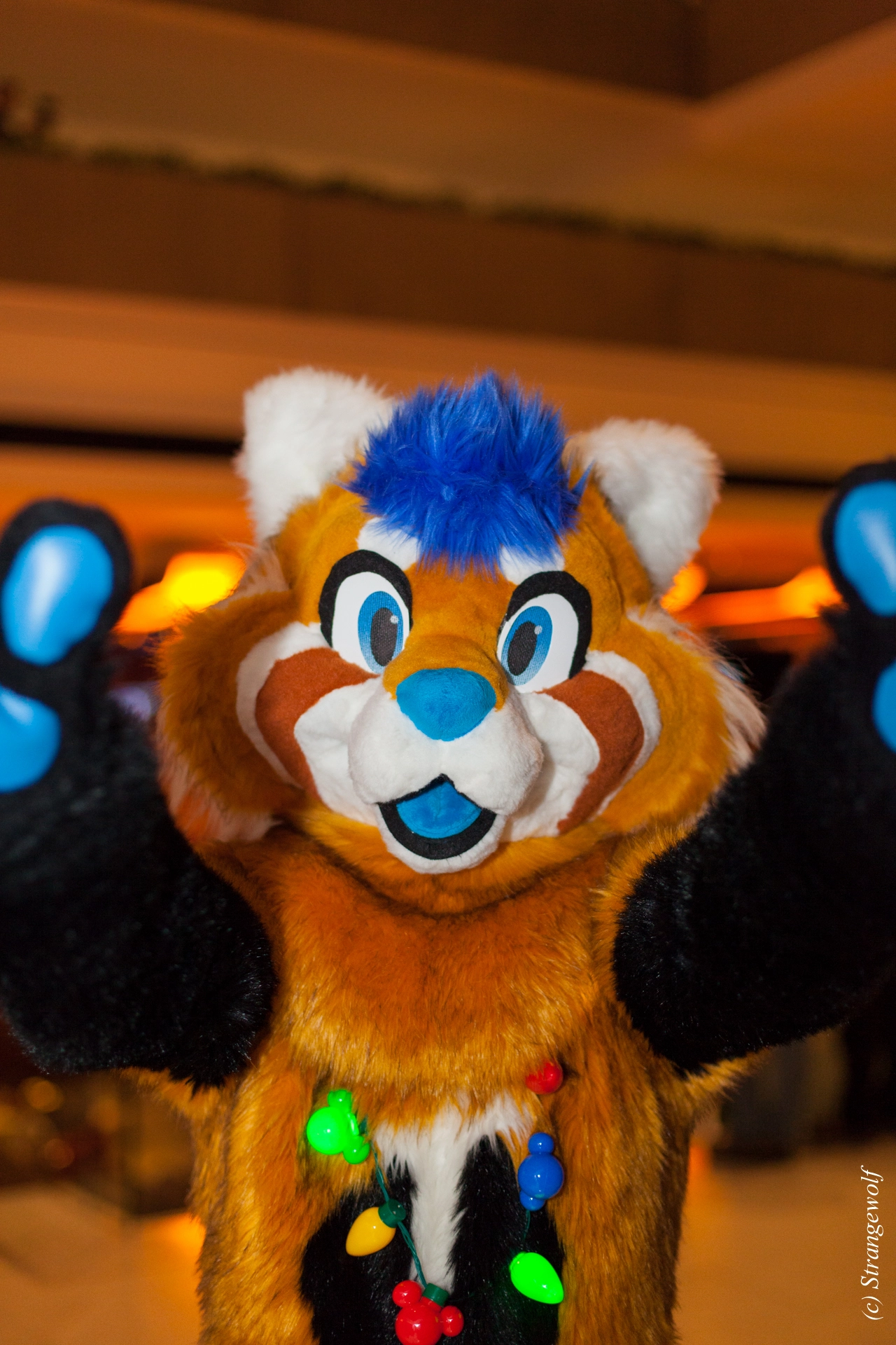 full image IMG_7159-lr19t.jpg