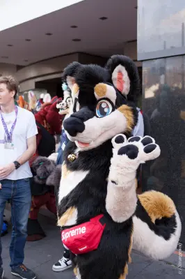 IMG_4555-lr19t.jpg of HCFC/HCFC2019/